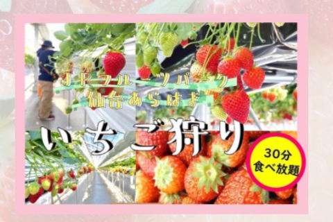 Strawberry Picking at JR Fruit Park Sendai Arahama