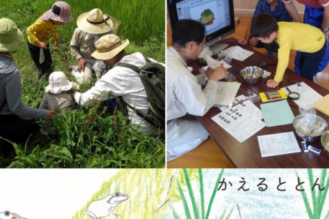 【July/August】Wildlife Picnic at Suzume Farm! Let’s Observe Frogs, Fish, and Water Insects Inside Rice Fields!