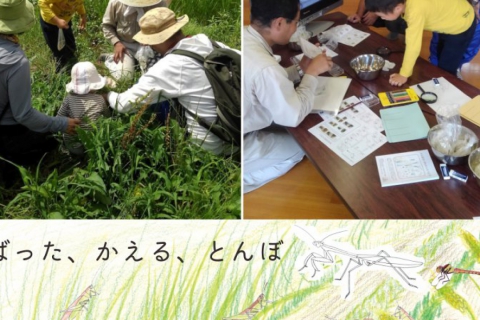 【September/October】Wildlife Picnic at Suzume Farm! Let’s Collect Insects Around Rice Fields!
