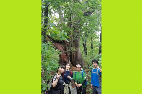 Hiking to Mt. Kurikoma&#039;s “Millennium Kurobe” Tree 