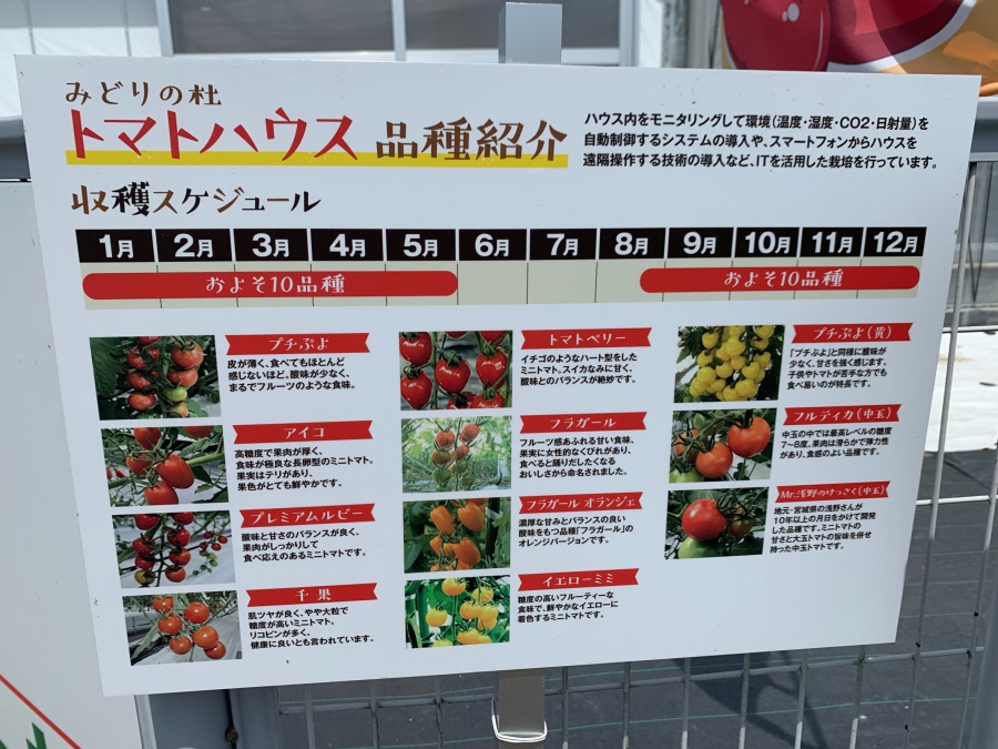 Flower Power And Tomatoes See Japan Experience Sendai Activities