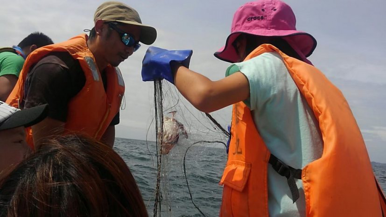 Gillnet Fishing Experience in Okumatsushima