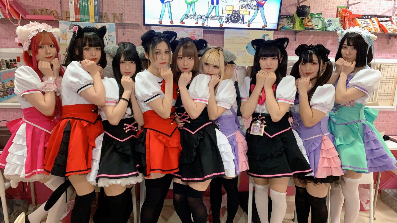 Sendai Maid Café Nyanpontan | See Japan, Experience Sendai Activities