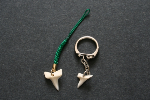 Shark Tooth Accessory Making