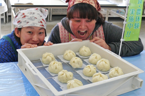Pork Bun Making Experience in Tome City  --Autumn/Winter Only--