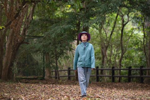 &quot;Shinrinyoku&quot; Forest Bathing in the &quot;City of Trees&quot; Sendai