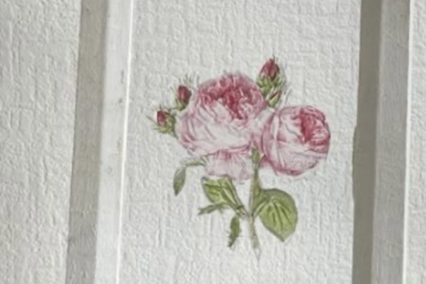 Frosting Flowers®︎ (a new flower technique) is also recommended for craft lovers!) Handmade experience