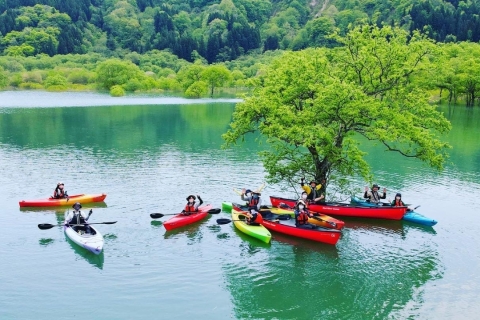 Submerged Forest Canoeing Experience