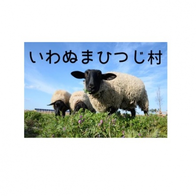 &quot;Iwanuma Sheep Village&quot;-- Japan Overseas Cooperative Association (JOCA) 
