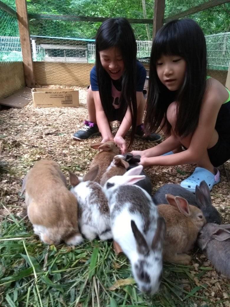かわいいウサギさん達と遊ぼう体験 公式 仙台旅先体験コレクション