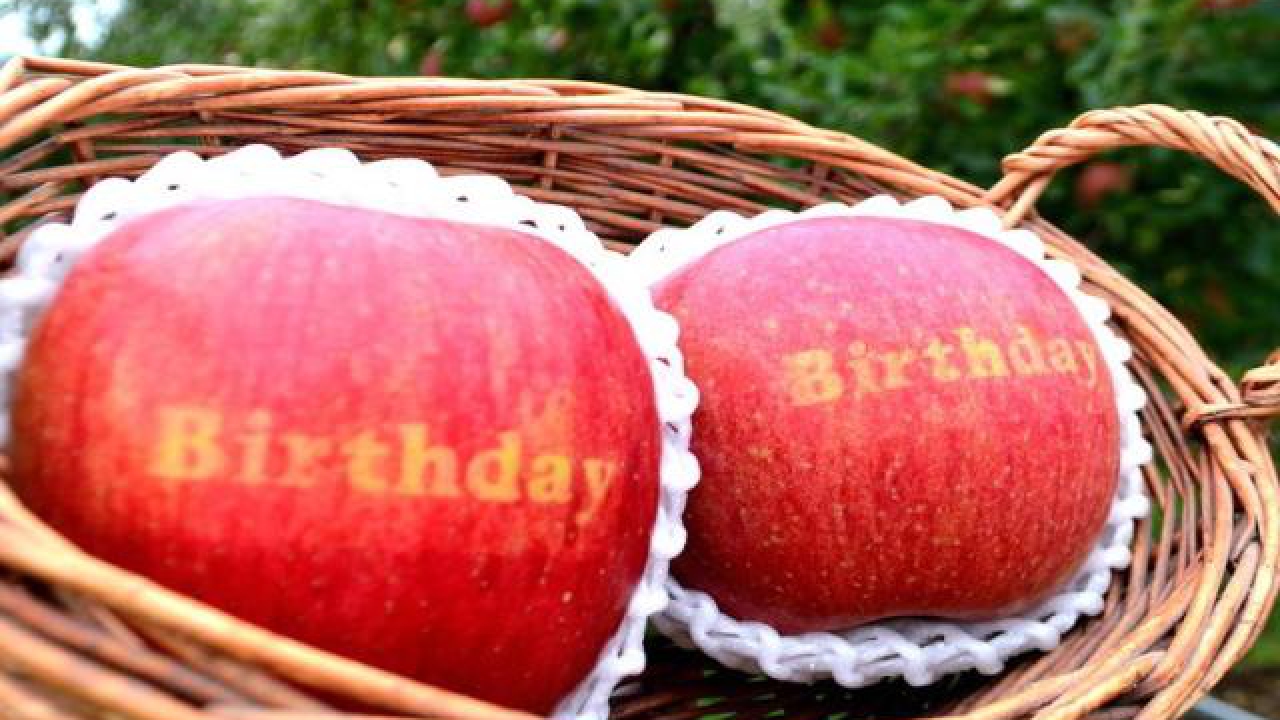 プレミアム体験 自分だけのオリジナル文字入りりんごづくり 名産地 山形県朝日町和合平 公式 仙台旅先体験コレクション