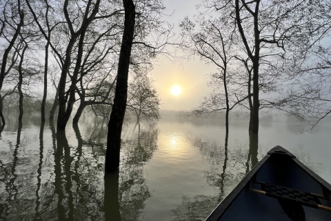 水没林カヌーツアー【早朝プレミアムプラン】早朝の湖面に広がる、静寂と光。自然の中に解け込む極上のひと時。