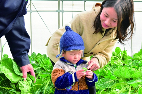 親子でわくわく♪冬野菜1kg収穫体験！【アグリランドむらやま事業】