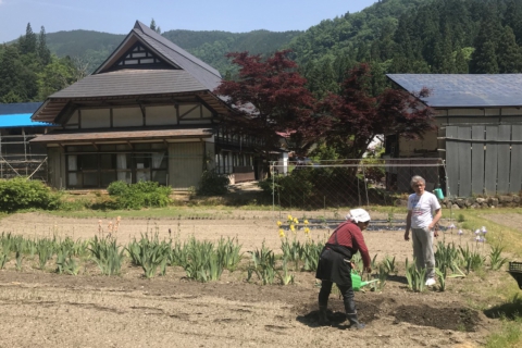 353KUROGAMO『季節の農業体験』