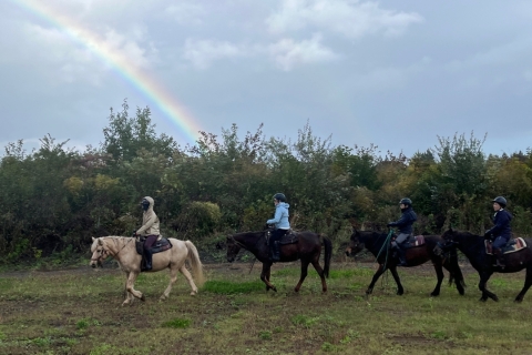蔵王の野を駈ける！