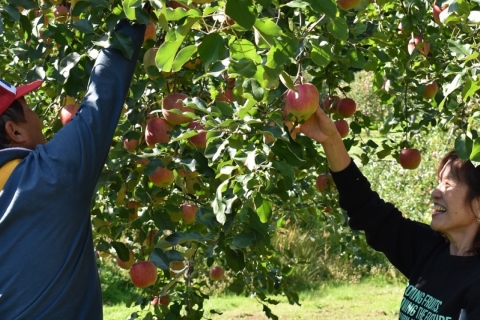 まるっとAsahi 「蜜ろうクラフトづくり&amp;りんご農家体験」