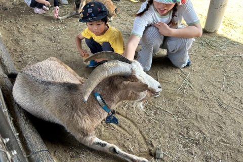 動物ふれあい体験