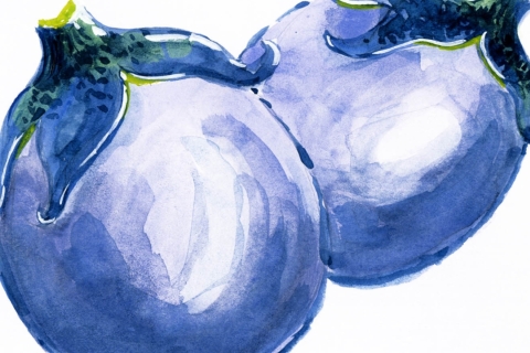 薄皮丸茄子収穫と漬物つくり体験In川西町