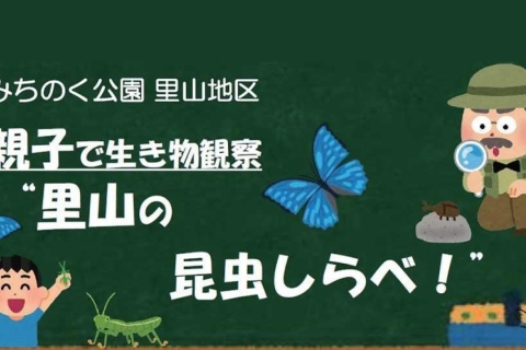 秋の生き物かんさつ