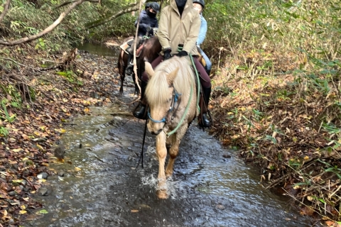 蔵王の森スペシャル