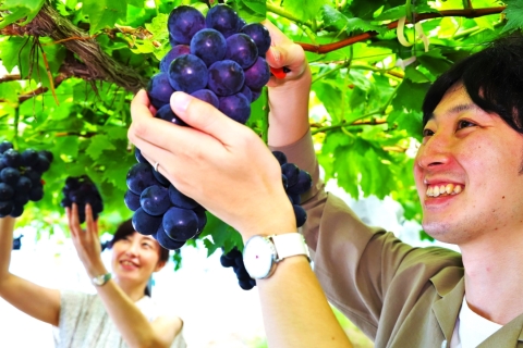 最新！秋の収穫体験🍇