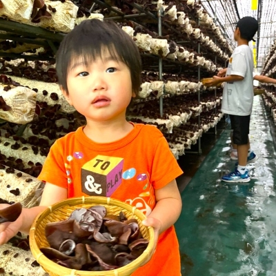 株式会社一路